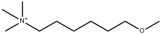 1-Hexanaminium, 6-methoxy-N,N,N-trimethyl- Structure