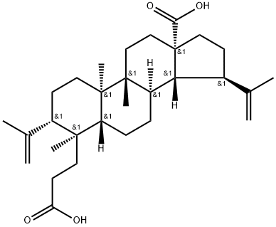 3,4-Secolupa-4(23),20(29)-diene-3,28-dioic acid 구조식 이미지