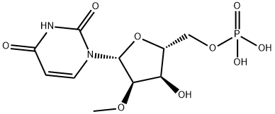 5'-우리딜산,2'-O-메틸- 구조식 이미지