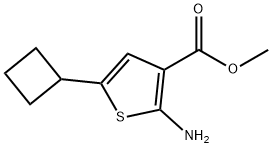 3-Thiophenecarboxylic acid, 2-amino-5-cyclobutyl-, methyl ester 구조식 이미지