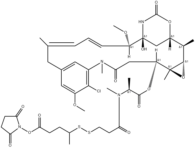 DM1-SPP Structure