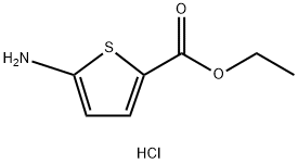 Ethyl 5-aminothiophene-2-carboxylate hydrochloride 구조식 이미지