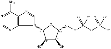 Adenosine 5'-(trihydrogen diphosphate), ion(3-) Structure