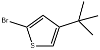 2-Bromo-4-(tert-butyl)thiophine 구조식 이미지