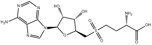 SAHO2 Structure