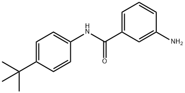 Benzamide, 3-amino-N-[4-(1,1-dimethylethyl)phenyl]- Structure