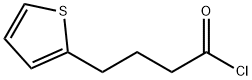 2-Thiophenebutanoyl chloride 구조식 이미지