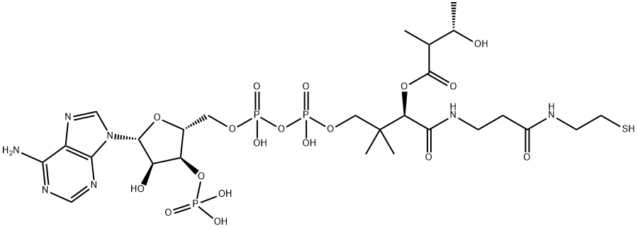 Coenzyme A, S-(3-hydroxy-2-methylbutanoate) Structure