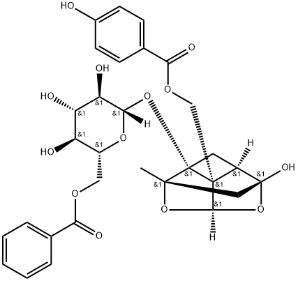 72896-40-3 benzoyloxypaeoniflorin