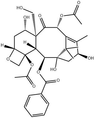 19-hydroxybaccatin III Structure