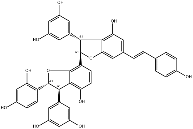Gnetumontanin B Structure