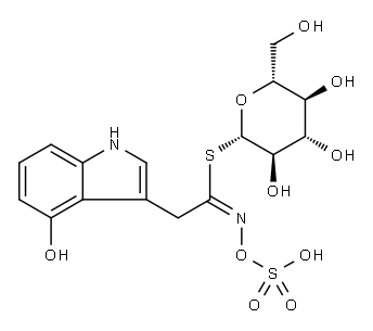4-Hydroxyglucobrassicin Structure