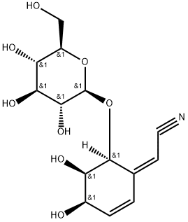 5-Epilithospermoside Structure