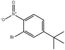 2-Bromo-4-(2-methyl-2-propanyl)-1-nitrobenzene 구조식 이미지