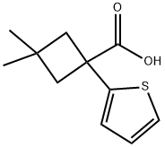 Cyclobutanecarboxylic acid, 3,3-dimethyl-1-(2-thienyl)- Structure