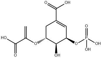 5-enol-pyruvoylshikimate 3-phosphate (EPSP) 구조식 이미지