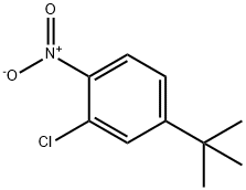 Benzene, 2-chloro-4-(1,1-dimethylethyl)-1-nitro- Structure