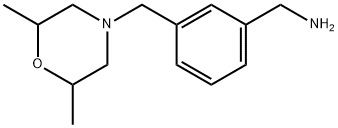 {3-[(2,6-dimethylmorpholin-4-yl)methyl]phenyl}methanamine Structure