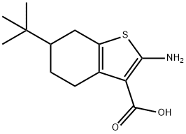 2-amino-6-tert-butyl-4,5,6,7-tetrahydrobenzo[b]thiophene-3-carboxylic acid Structure