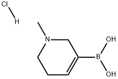 1-Methyl-1,2,5,6-tetrahydropyridine-3-yl]boronic acid hydrochloride Structure