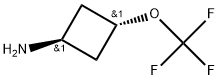 trans-3-Trifluoromethoxy-cyclobutylamine Structure