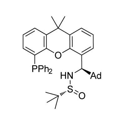 [S(R)]-N-((1R)-(Adamantan-1-yl)(5-(diphenylphosphanyl)-9,9-dimethyl-9H-
xanthen-4-yl)methyl)-2-methyl-2-propanesulfinamide 구조식 이미지