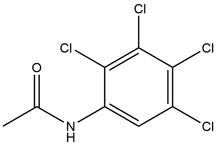 N-(2,3,4,5-Tetrachlorophenyl)acetamide Structure