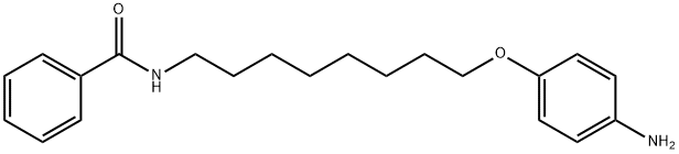 Benzamide, N-[8-(4-aminophenoxy)octyl]- 구조식 이미지