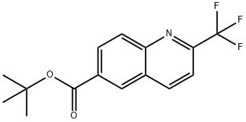 tert-butyl 2-(trifluoromethyl)quinoline-6-carboxylate 구조식 이미지