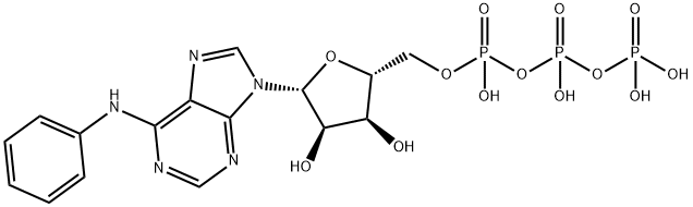 N6-Phenyl-ATP Structure