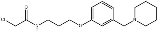 Acetamide, 2-chloro-N-[3-[3-(1-piperidinylmethyl)phenoxy]propyl]- Structure