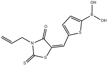 (E)-(5-((3-Allyl-4-oxo-2-thioxothiazolidin-5-ylidene)methyl)thiophen-2-yl)boronic acid Structure