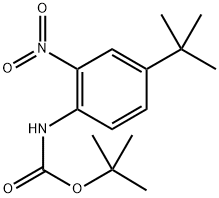 Carbamic acid, [4-(1,1-dimethylethyl)-2-nitrophenyl]-, 1,1-dimethylethyl ester (9CI) 구조식 이미지