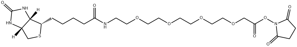 3,6,9,12-Tetraoxa-15-azaeicosanoic acid, 20-[(3aS,4S,6aR)-hexahydro-2-oxo-1H-thieno[3,4-d]imidazol-4-yl]-16-oxo-, 2,5-dioxo-1-pyrrolidinyl ester Structure