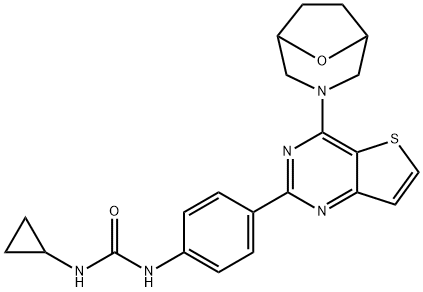 Urea, N-cyclopropyl-N'-[4-[4-(8-oxa-3-azabicyclo[3.2.1]oct-3-yl)thieno[3,2-d]pyrimidin-2-yl]phenyl]- 구조식 이미지