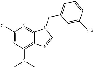 9-(3-Aminobenzyl)-2-chloro-N,N-dimethyl-9H-purin-6-amine 구조식 이미지