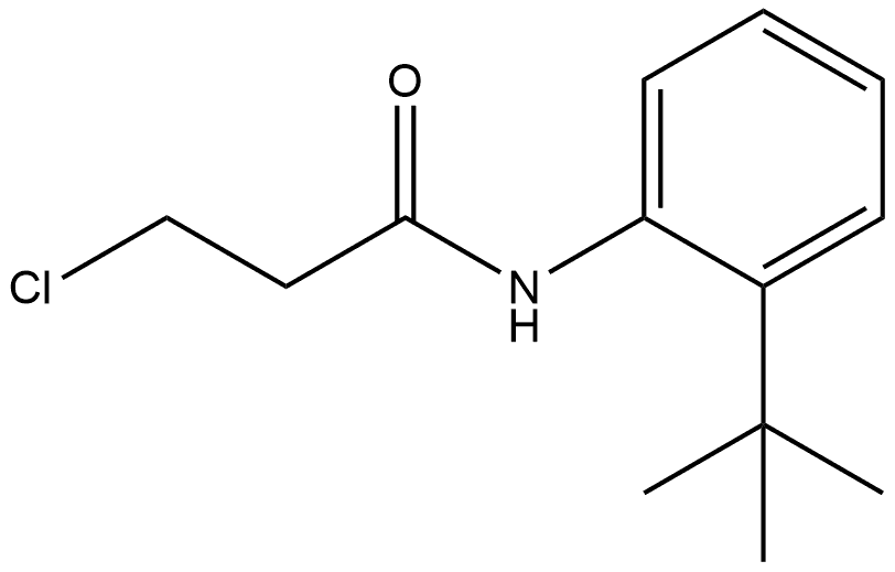 3-Chloro-N-[2-(1,1-dimethylethyl)phenyl]propanamide Structure