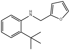 2-tert-butyl-N-[(furan-2-yl)methyl]aniline 구조식 이미지