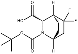 2-(1,1-Dimethylethyl) (1R,3S,4S)-5,5-difluoro-2-azabicyclo[2.2.2]octane-2,3-dica… Structure