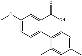 2-(2,4-Dimethylphenyl)-5-methoxybenzoic acid Structure