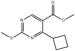 5-Pyrimidinecarboxylic acid, 4-cyclobutyl-2-(methylthio)-, methyl ester 구조식 이미지