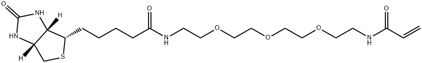 1H-Thieno[3,4-d]imidazole-4-pentanamide, hexahydro-2-oxo-N-(13-oxo-3,6,9-trioxa-12-azapentadec-14-en-1-yl)-, (3aS,4S,6aR)- Structure