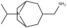 8-Azabicyclo[3.2.1]octane-3-methanamine, 8-(1-methylethyl)- Structure