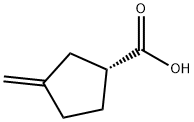 Cyclopentanecarboxylic acid, 3-methylene-, (R)- (9CI) Structure