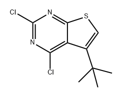 Thieno[2,3-d]pyrimidine, 2,4-dichloro-5-(1,1-dimethylethyl)- Structure