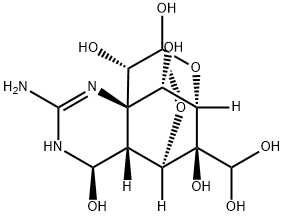 11-oxotetrodotoxin Structure