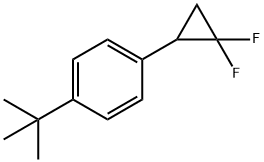 Benzene, 1-(2,2-difluorocyclopropyl)-4-(1,1-dimethylethyl)- Structure