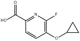 5-cyclopropoxy-6-fluoropyridine-2-carboxylic acid Structure