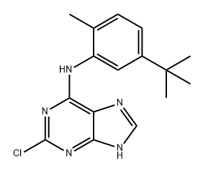 9H-Purin-6-amine, 2-chloro-N-[5-(1,1-dimethylethyl)-2-methylphenyl]- 구조식 이미지