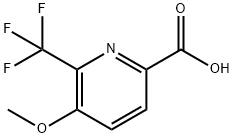 2-Pyridinecarboxylic acid, 5-methoxy-6-(trifluoromethyl)- 구조식 이미지